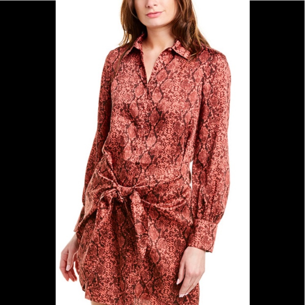 NWOT cinq a cept designer dress